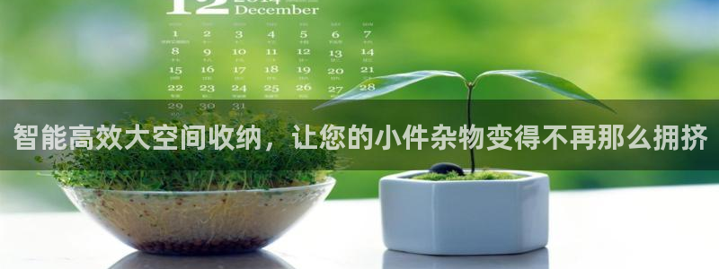 熊猫体育集团：智能高效大空间收纳，让您的小件杂物变得不再那么