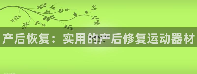 熊猫体育集团官网首页：产后恢复：实用的产后修复运动器材