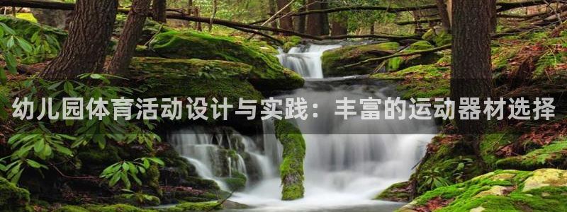 海南熊猫体育官网下载发展怎么样：幼儿园体育活动设计与