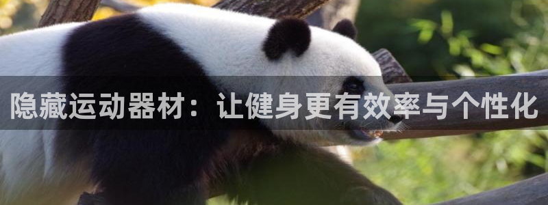 熊猫体育官网下载平台是正规平台吗知乎：隐藏运动器材：让健身更