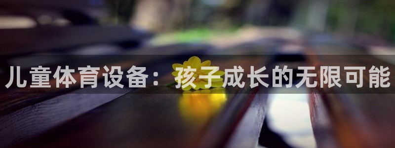 熊猫体育神州：儿童体育设备：孩子成长的无限可能