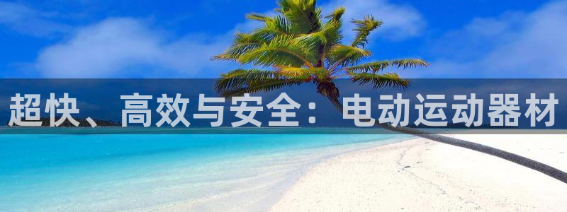 熊猫体育娱乐首页网站大全：超快、高效与安全：电动运动