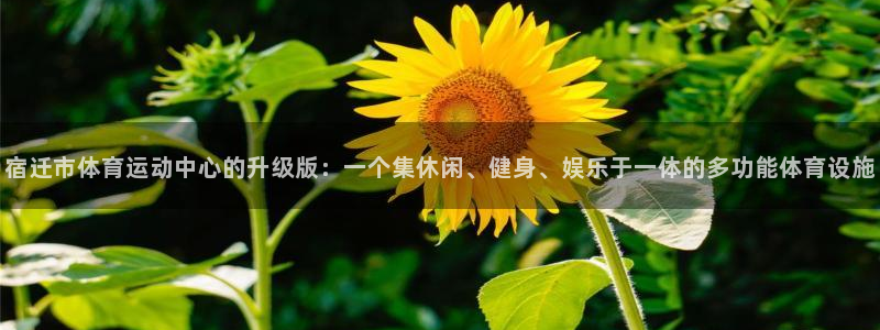 bbin视讯游戏平台