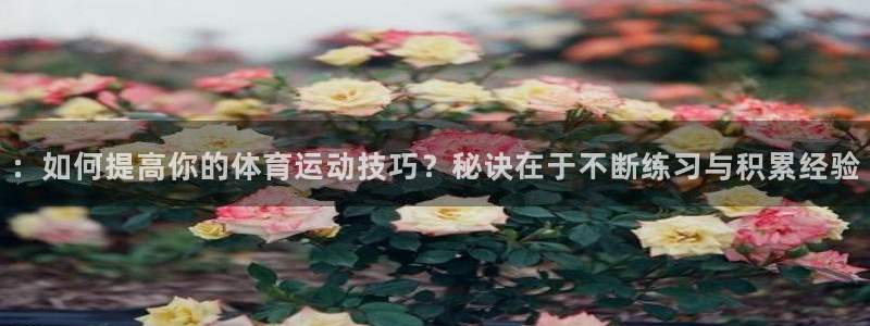 bbin视讯