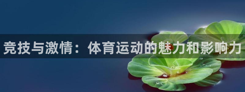 bbin视讯游戏官网