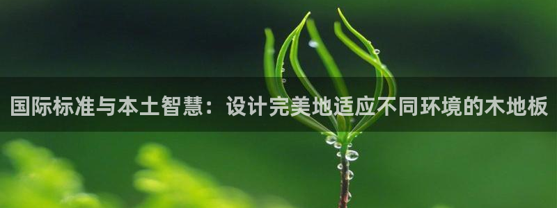 bbin视讯游戏官网